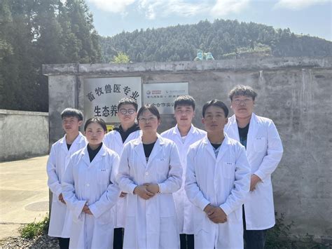 黔南民族职业技术学院项目团队：为贵州绿壳鸡蛋产业注入“硒”元素