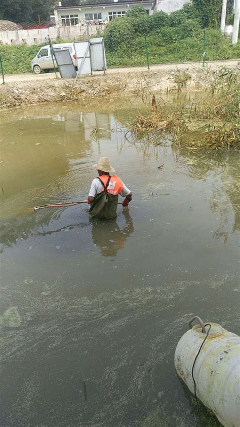 城镇河流湖泊水质净化与农村纳污塘坑黑臭水体治理对策-资料下载-甘丹科技河北有限公司