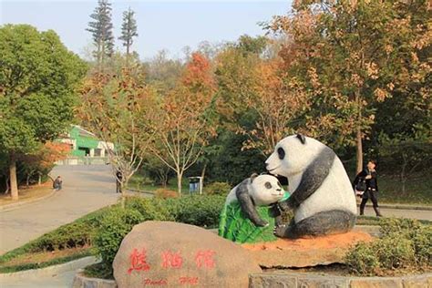 2023南京红山森林动物园免费开放日领券时间+方法_旅泊网