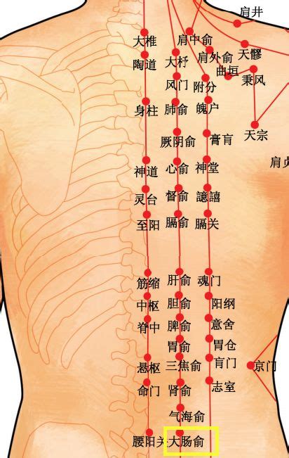 胰俞的准确位置图图片 胰俞的准确位置图图片