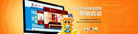 丽江网站推广费用标准，全网推广运营费用多少钱