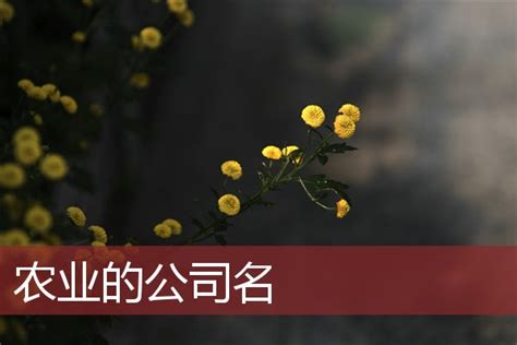 农业种子公司名片 农场名片设计PSD图片下载_红动中国
