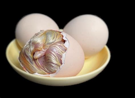 “变蛋”是什么？和皮蛋有啥区别？谁更好吃更值得买呢？快看！_味道