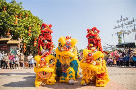 特色民俗年味浓，佛山顺德长鹿春节假期吸引超24万名游客