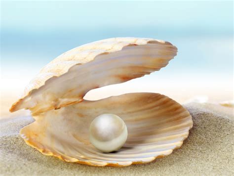 珍珠行业深度研究报告：复盘海内外珍珠产业与品牌__财经头条