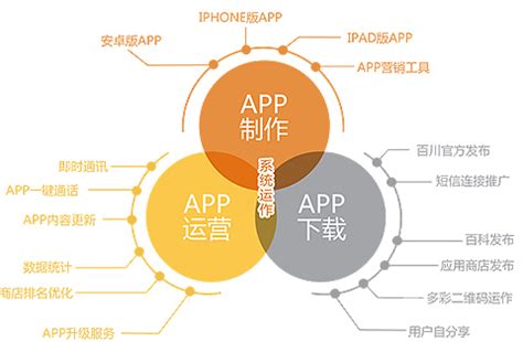 app项目计划书-亦强科技