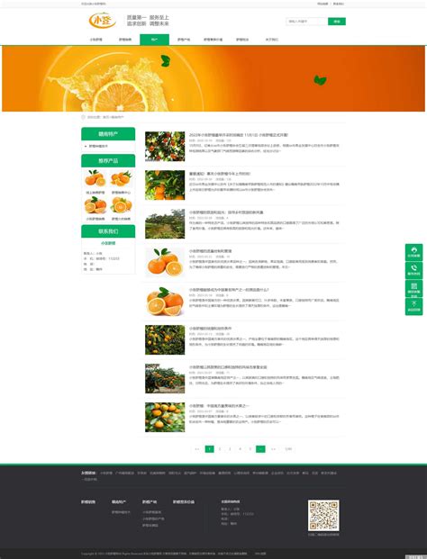 橙子网站|网页|企业官网|mrmoka - 原创作品 - 站酷 (ZCOOL)