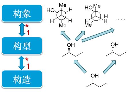 蛋白质的化学组成_生物化学_挂云帆