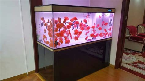彩蝶彩鲽玻璃鱼缸底滤缸水族箱海缸珊瑚缸客厅6090120150海缸1-阿里巴巴
