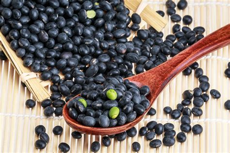 黑豆怎么吃最补肾（吃黑豆真的补肾吗？如何正确打开吃黑豆的方法） | 说明书网