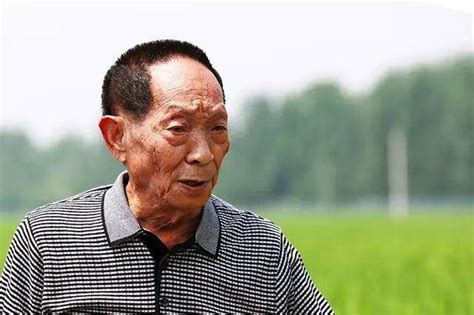 袁隆平：今年在湖南推广双季稻高产项目300万亩-都市-长沙晚报网