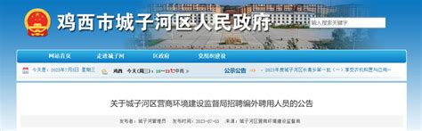 2023年黑龙江省鸡西城子河区营商环境建设监督局招聘公告（报名时间7月3日至11日）