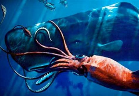 深海巨兽能有多恐怖？10亿人没见过的海底世界，超出你的想象！_高清1080P在线观看平台_腾讯视频