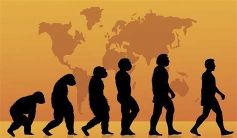 研究：人类正加速进化是怎么回事，人类加速进化到什么程度了- 今日头条_赢家财富网