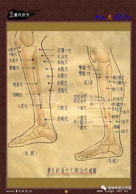 肾关的准确位置图图片 肾关的准确位置图图片