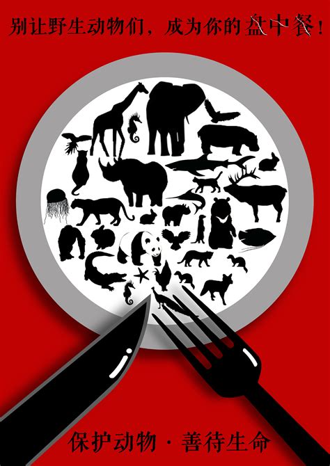 保护野生动物，公益海报。|平面|海报|圣简曼曼 - 原创作品 - 站酷 (ZCOOL)