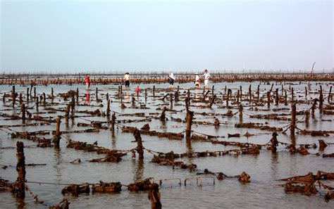 广西北海铁山港海水养殖场,海洋海岛,自然风景,摄影素材,汇图网www.huitu.com