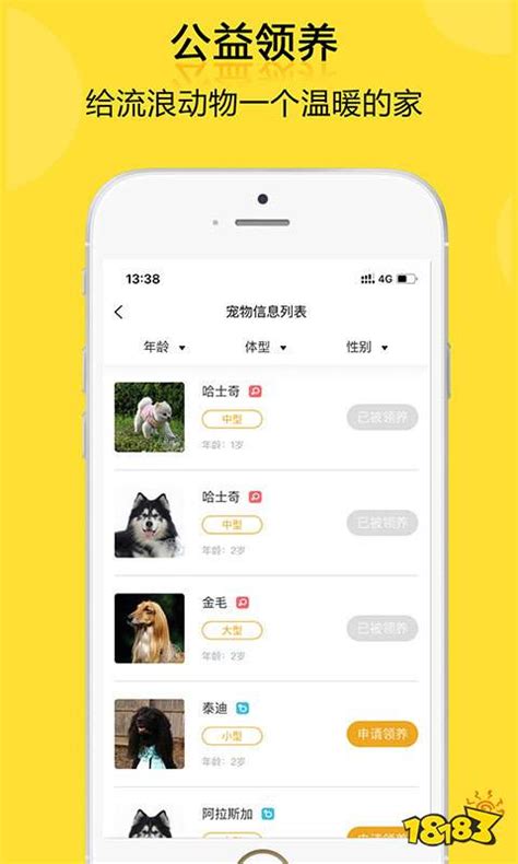 领养宠物全套app设计UI界面-包图网