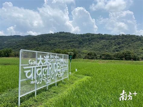 11个现代农业项目在广州从化动工_智慧农业-农博士农先锋网