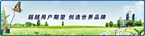 远东控股集团第十一次上榜中国企业500强 - 快讯 - 华财网-三言智创咨询网