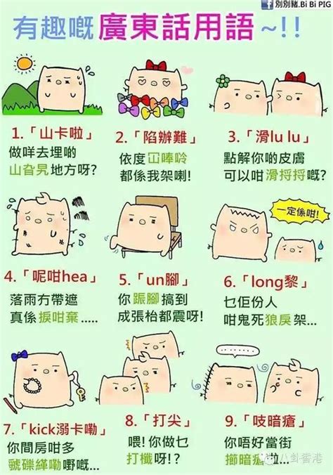 100个粤语口语常用字，一张图就搞掂晒！ | 羊城网——懂互联网，更懂广州！