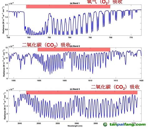 空气中氧气含量是多少（含氧量高对人体的影响） – 碳资讯