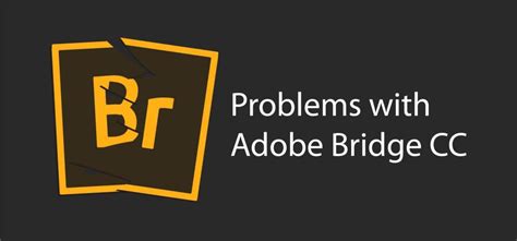 Br软件下载|Adobe Bridge CC 2019官方中文完整破解版下载 - CG资源网