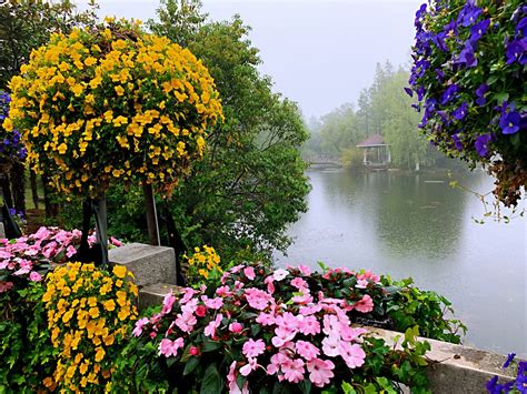 广东有座“绿城”，有1223个公园，被誉为“国际花园城市”|东莞|公园|森林_新浪新闻