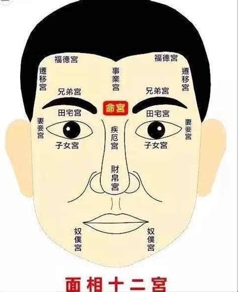 额头上的经络图图片