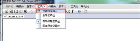 SecureCRT解决中文显示乱码-CSDN博客