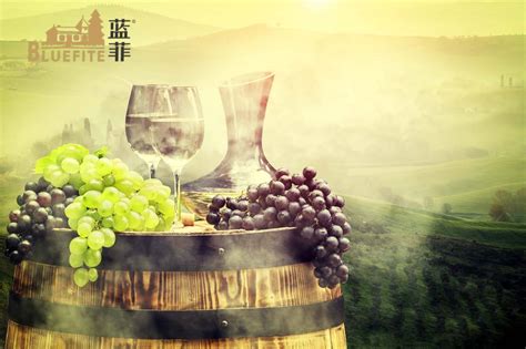 2021年“十四五”中国葡萄酒行业市场前景及投资研究报告-前沿报告库