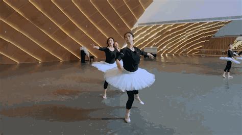 带有芭蕾鞋的图图图芭蕾丝带芭蕾舞足尖戏服演员衣服白色舞鞋短裙高清图片下载-正版图片321569245-摄图网