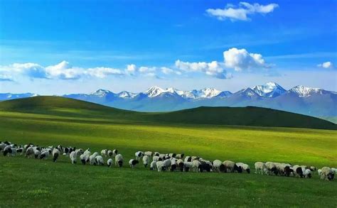 中国最大的草原,中的山峰,中最大的河_大山谷图库