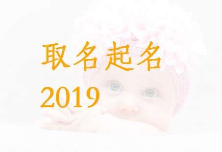 2023猪宝宝名字大全 带有宏字的女孩名字的意思_起名_若朴堂文化