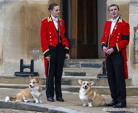 王室官宣英女王墓碑！和最爱的丈夫团聚，临终之时2只柯基犬陪伴__财经头条
