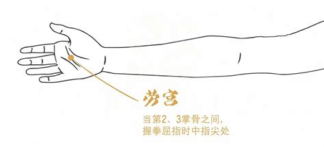 劳宫穴位图图片