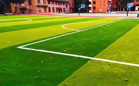 五人制足球场建设需要花费多少钱-杭州宝力体育设施工程有限公司