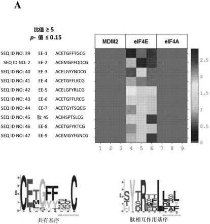 草菇翻译起始因子Vv-IF4E及与其共表达转录因子的研究