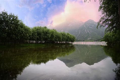 2021百花山自然保护区-旅游攻略-门票-地址-问答-游记点评，北京旅游旅游景点推荐-去哪儿攻略