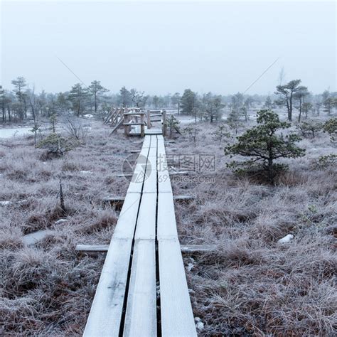 寒冷的冬季沼泽景观中的木板路高清图片下载-正版图片507177186-摄图网