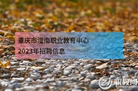 重庆市潼南职业教育中心2023年招聘信息 - 职教网