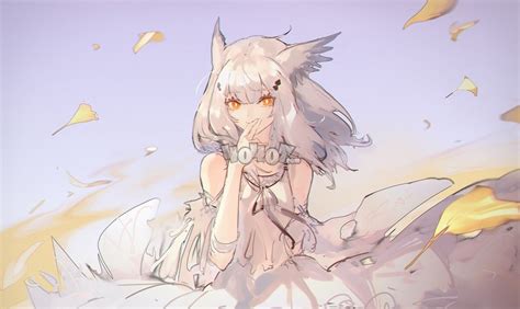 白面鸮图片