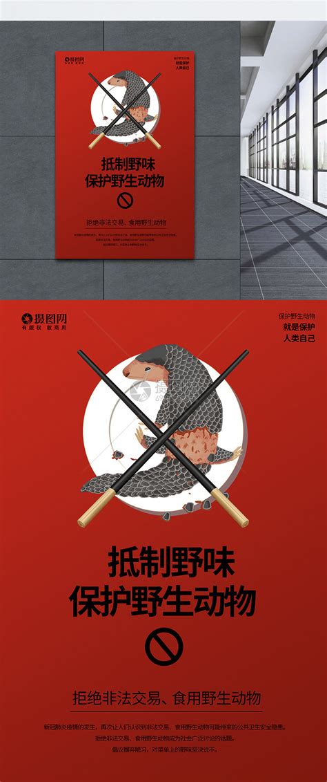拒食野生动物系列海报1模板素材-正版图片401681587-摄图网