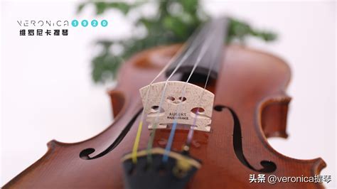 小提琴名曲《贝多芬 F大调第五小提琴奏鸣曲 (春天)》简介 - 小提琴学习网