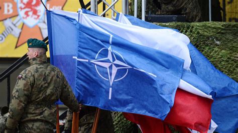 北约国家暂停参与《欧洲常规武装力量条约》 - 2023年11月7日, 俄罗斯卫星通讯社