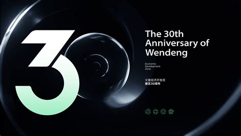 Arzy\文登经济开发区30周年视觉设计_Arzy_Design-站酷ZCOOL