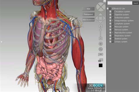 3DBody三维交互解剖软件_官方电脑版_51下载