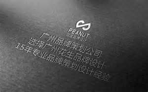 广州广告设计公司_【选花生】_国内知名品牌设计公司