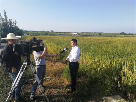 新型职业农民当主播 直播带货很给力-中国菏泽网