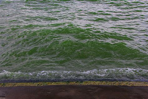 矢量海面海浪潮水PNG图片素材下载_图片编号qgrraovy-免抠素材网